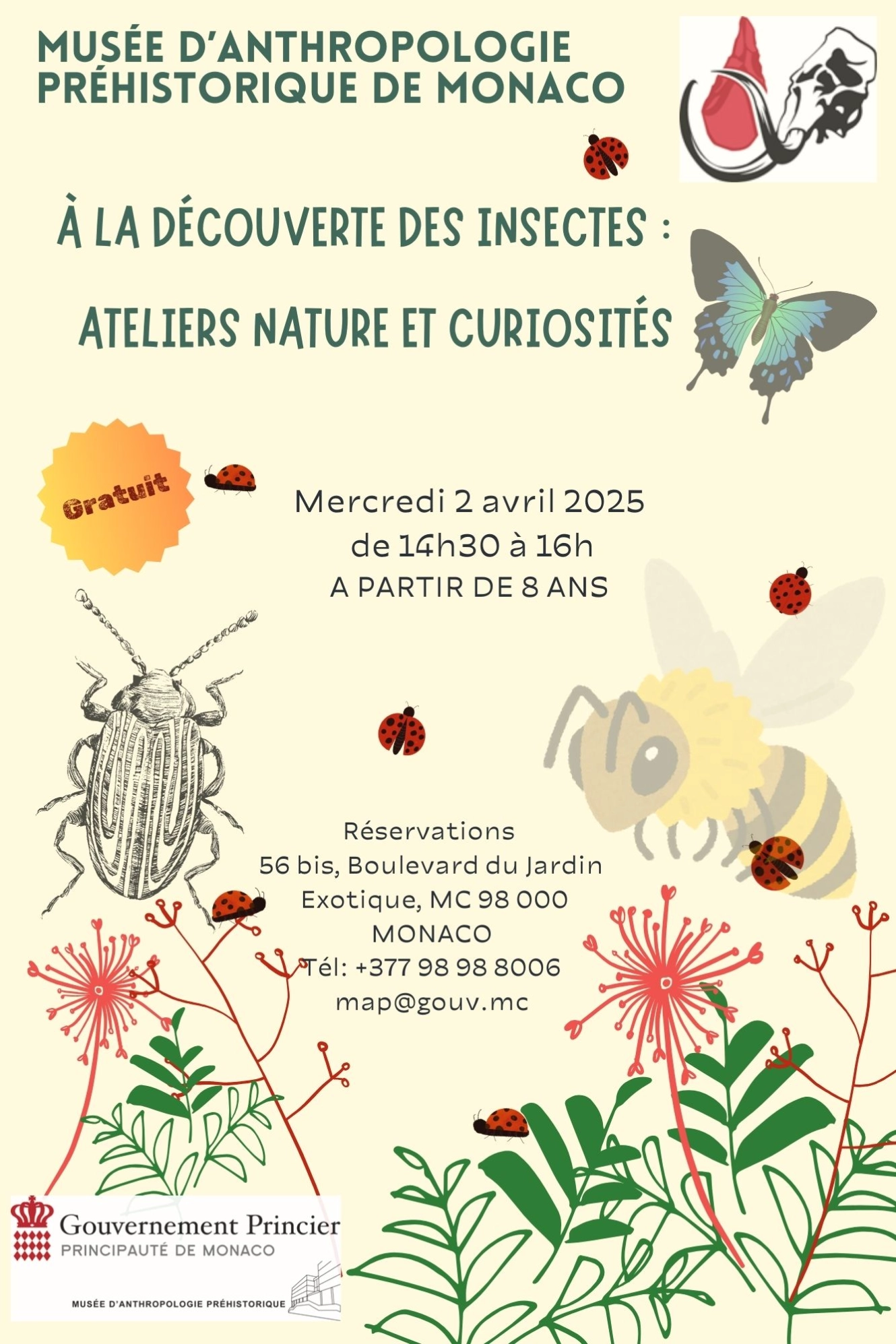 Ateliers Musée Anthropologie 1