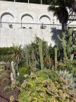 Sortie des CM1 A au Jardin exotique