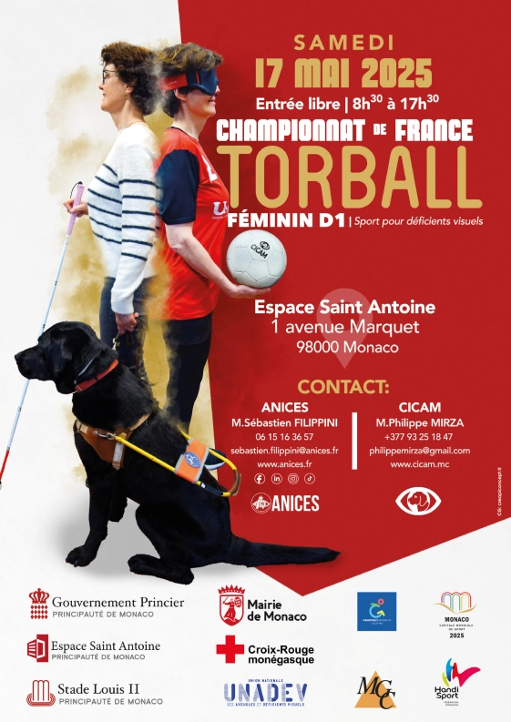 Torball