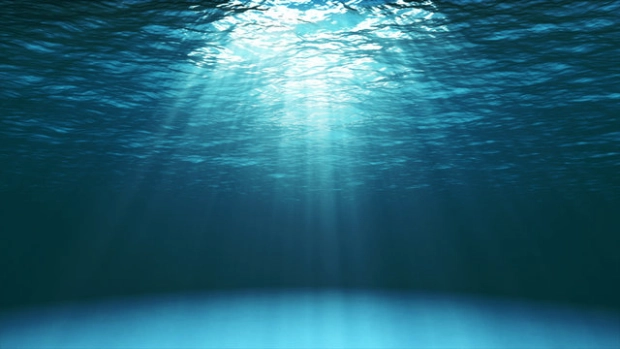 Concours photo sous marine